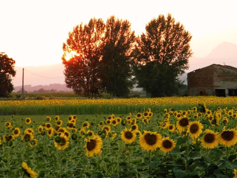Agriturismo Settepassi Tuscany Ponte Buggianese المظهر الخارجي الصورة